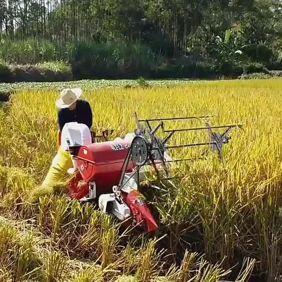 Combine Harvester Mini - Automatyczna kombajn do zbioru pszenicy i
