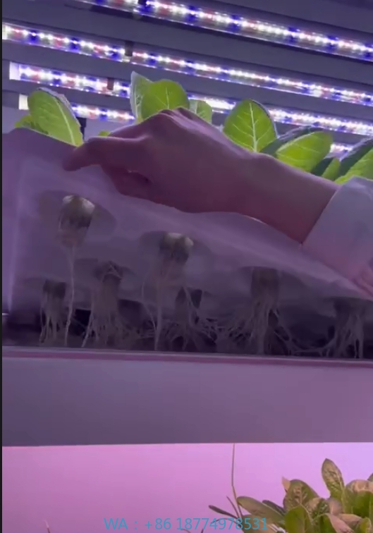 Agriculture Farming Vegetables - System hydroponiczny wieżowy do uprawy w