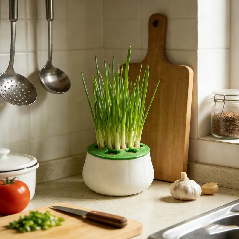 Plant Growth Regulator - Doniczka do regeneracji cebulki zielonej, drukowana
