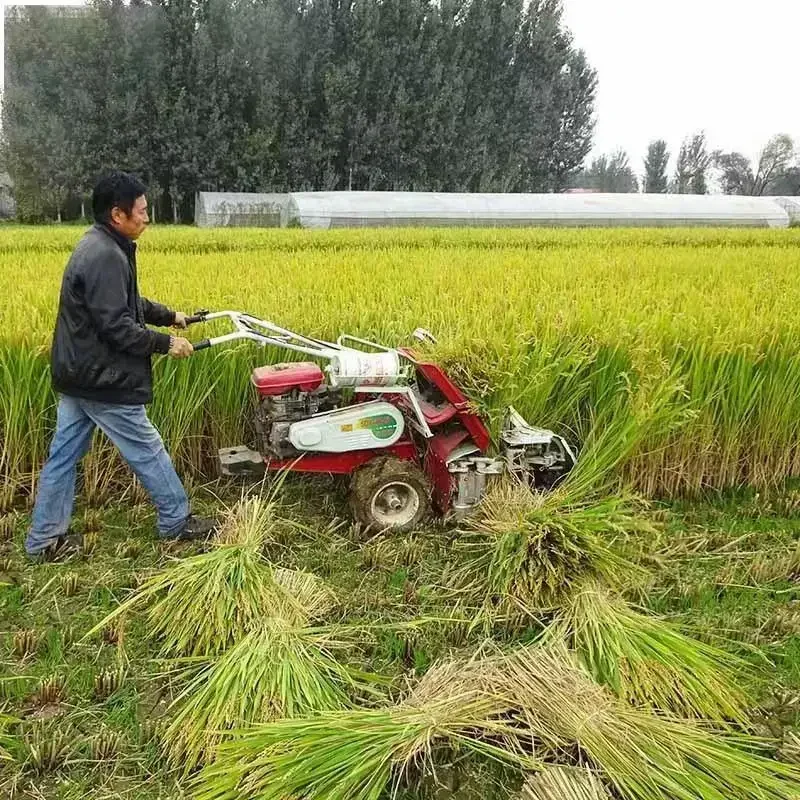 # Mini Binder Reaper ze zszywa – Combine Harvester Mini recenzja i cena