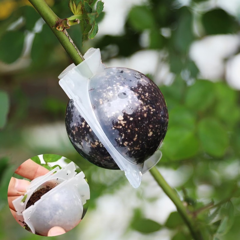 5/30 szt. Kulki do ukorzeniań  – Plant Growth Regulator recenzja i cena