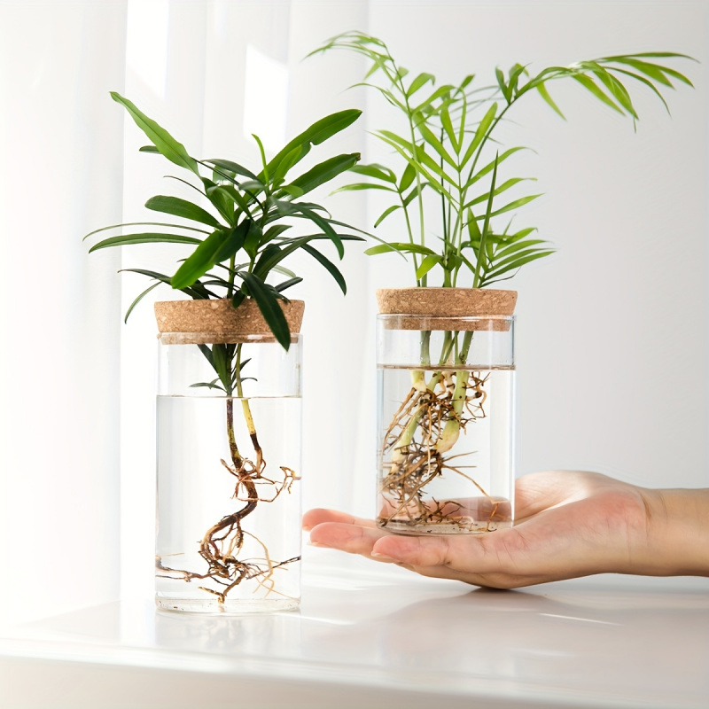 1szt, hydroponika rośliny pulp – Plant Growth Regulator recenzja i cena