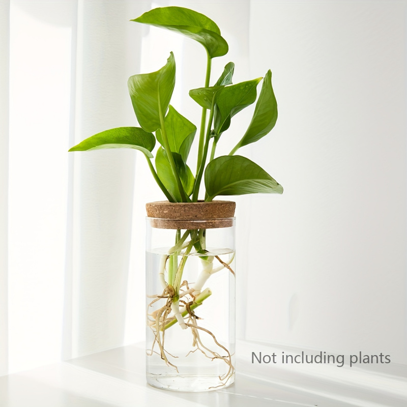 1szt, hydroponika rośliny pulp – Plant Growth Regulator recenzja i cena