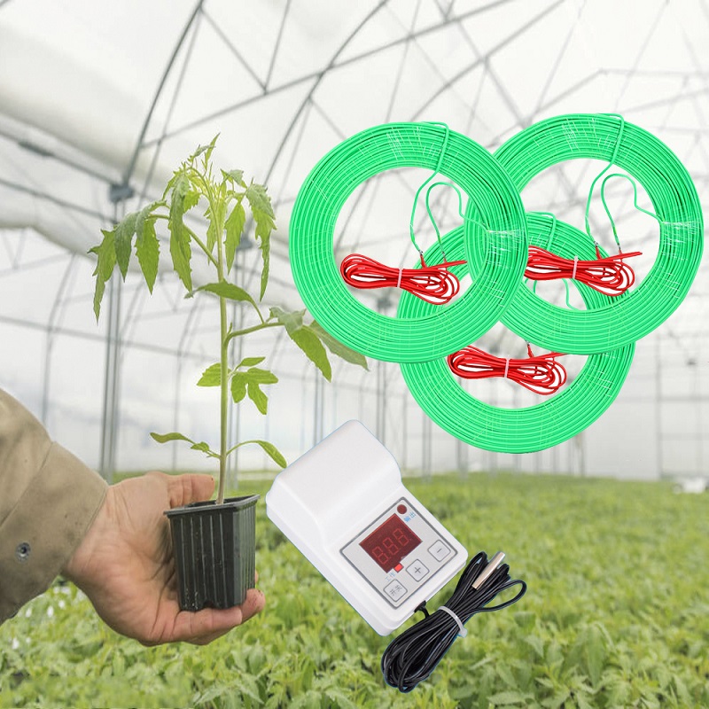 Sadzonki rolnicze sadzonki prz – Agriculture Farming System recenzja i cena