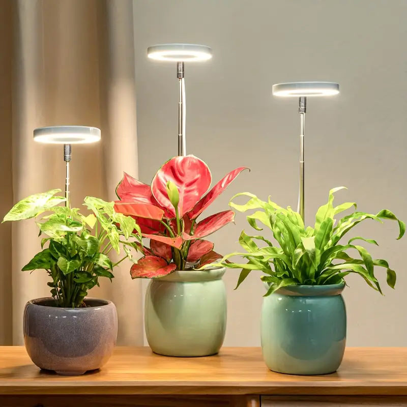Lampa LED do uprawy roślin o p – Plant Growth Regulator recenzja i cena
