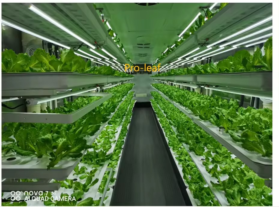 System hydroponiczny wieżowy d – Agriculture Farming Vegetables recenzja i cena