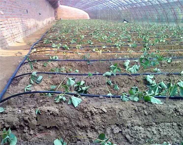 Zestaw do nawadniania 1HA, nar – Agriculture Farming System recenzja i cena
