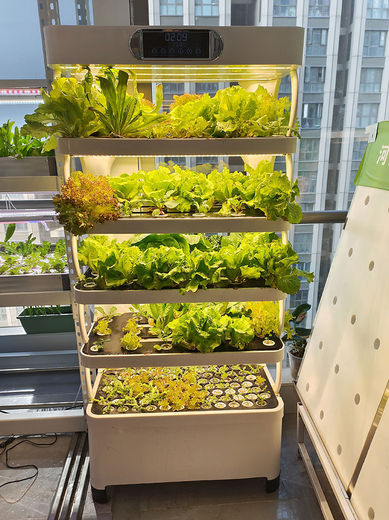 Maszyna rolnicza do uprawy war – Agriculture Farming System recenzja i cena