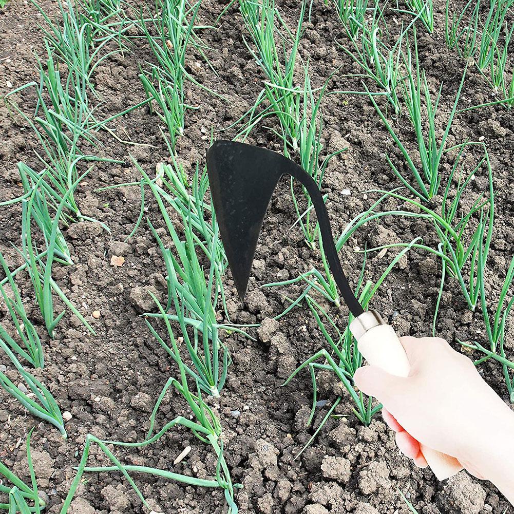 Narzędzia rolnicze Motyki Trój – Agriculture Farming Vegetables recenzja i cena