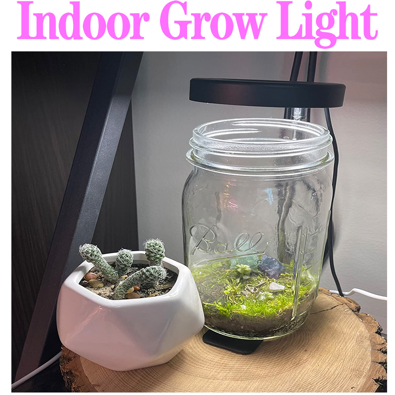 Lampa do roślin o pełnym spekt – Plant Growth Regulator recenzja i cena